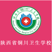 陜西省銅川衛(wèi)生學校