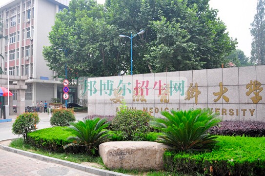 安徽醫(yī)科大學