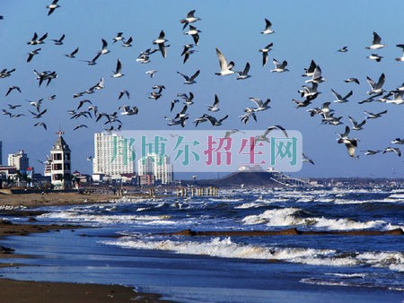 石家莊城市經(jīng)濟職業(yè)學(xué)院學(xué)費