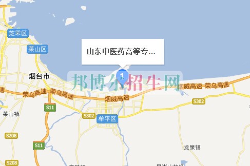 山東中醫(yī)藥高等?？茖W(xué)校