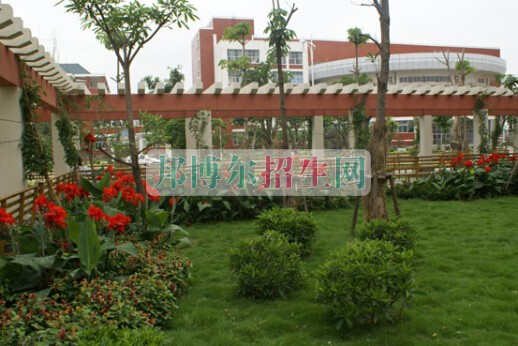 泉州醫(yī)學高等??茖W校