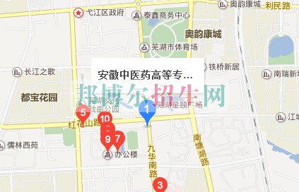 安徽中醫(yī)藥高等?？茖W校