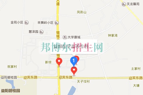 益陽醫(yī)學高等?？茖W校