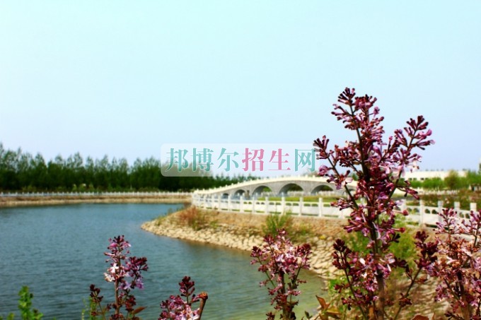 黑龍江農墾科技職業(yè)學院網(wǎng)站網(wǎng)址