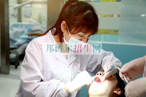 哪個大專學?？谇会t(yī)學好