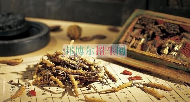 成都內理科一專中醫(yī)學大專學校