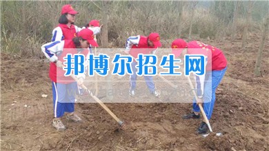 閬中師范學校“大規(guī)模綠化全川多彩通道建設閬中行動” 