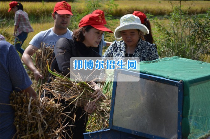 川北幼兒師范高等?？茖W校歲月積淀中的魅力女性