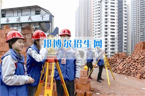 成都有哪些有建筑工程施工技術(shù)學(xué)的大專(zhuān)院校