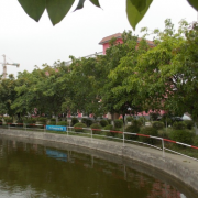 綿陽陽光職業(yè)技術(shù)學校