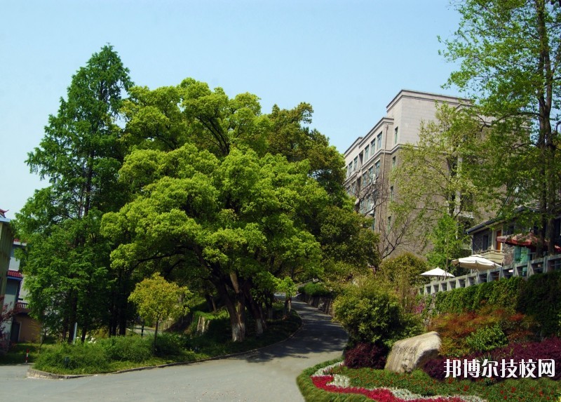 中國(guó)美術(shù)學(xué)院附屬中等美術(shù)學(xué)校2020年報(bào)名條件、招生要求、招生對(duì)象