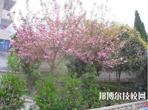 嵐皋縣中等職業(yè)技術(shù)學(xué)校2020年報(bào)名條件、招生要求、招生對(duì)象