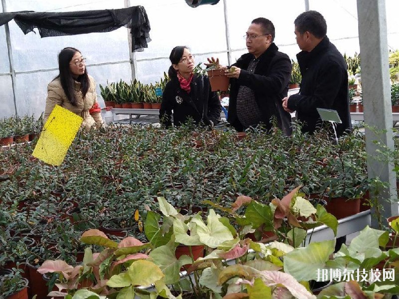 紹興園藝學(xué)校2020年學(xué)費、收費多少 