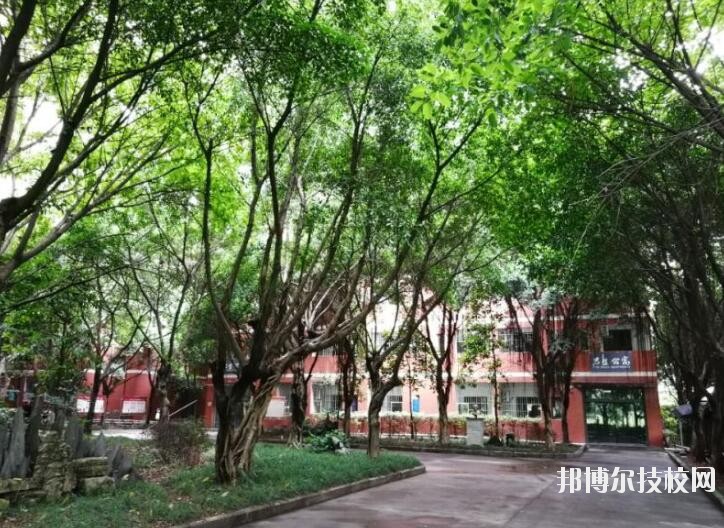 重慶舞蹈學(xué)校2020年報(bào)名條件、招生要求、招生對象