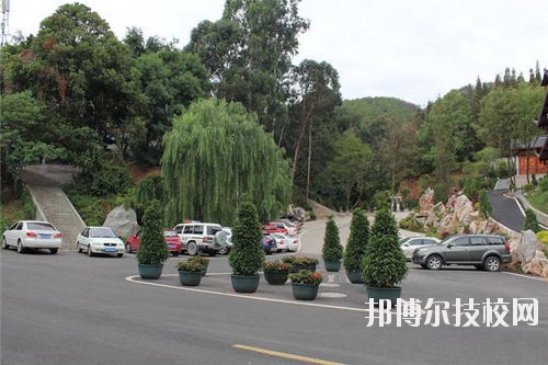 涼山州農(nóng)業(yè)學校2020年有哪些專業(yè)