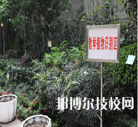 重慶風(fēng)景園林技工學(xué)校怎么樣、好不好