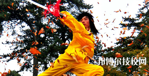 平?jīng)鲠轻嘉奈鋵W校2020年報名條件、招生要求、招生對象