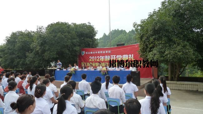 樂山市中區(qū)振興中等職業(yè)學校網(wǎng)站網(wǎng)址