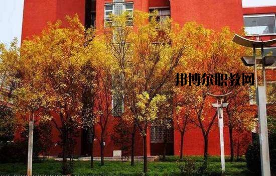 鶴峰職業(yè)技術(shù)學(xué)校2020年報(bào)名條件、招生要求、招生對(duì)象