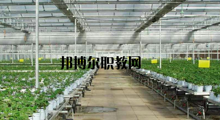 隴南農(nóng)業(yè)學(xué)校怎么樣、好不好