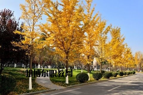 蘄春李時(shí)珍中等專業(yè)學(xué)校怎么樣、好不好
