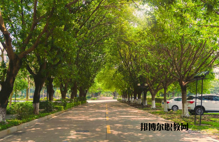 河南團校2021年報名條件、招生要求、招生對象