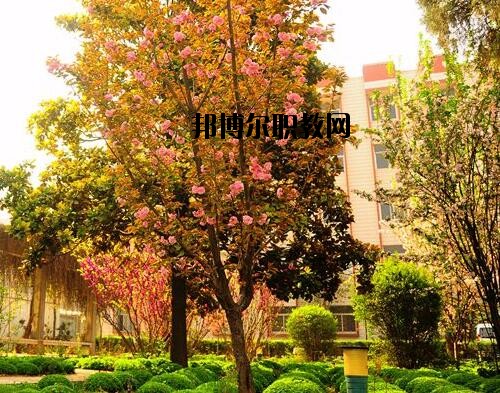 新鄉(xiāng)工業(yè)學(xué)校2021年報(bào)名條件、招生對象