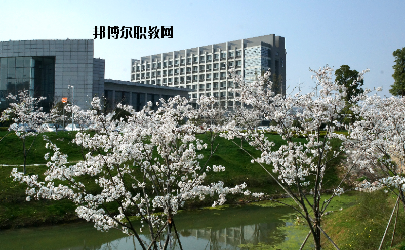 中國藥科大學2020年報名條件、招生要求、招生對象