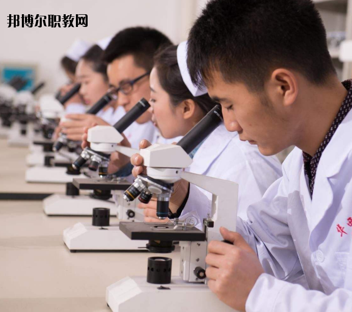 焦作護(hù)理學(xué)校怎么樣、好不好
