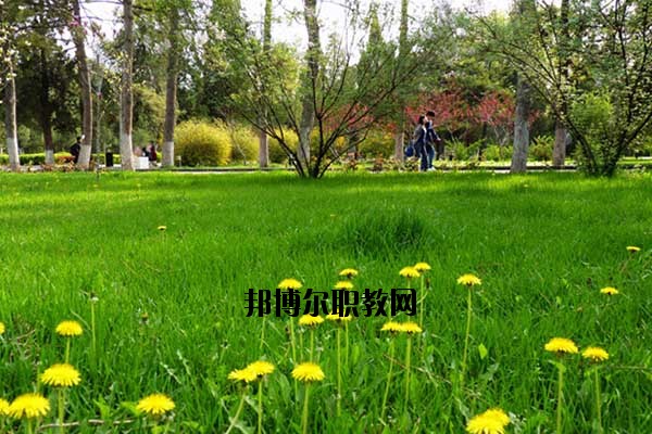 雙江縣職教中心2020年報(bào)名條件、招生要求、招生對(duì)象