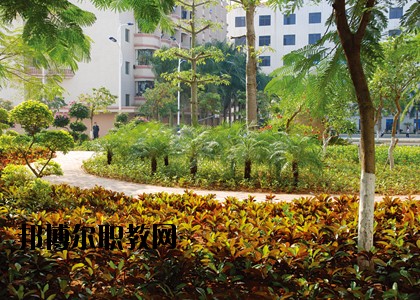 湛江技師學(xué)院怎么樣、好不好