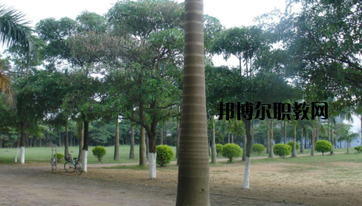 合浦石康職業(yè)技術(shù)學(xué)校怎么樣、好不好