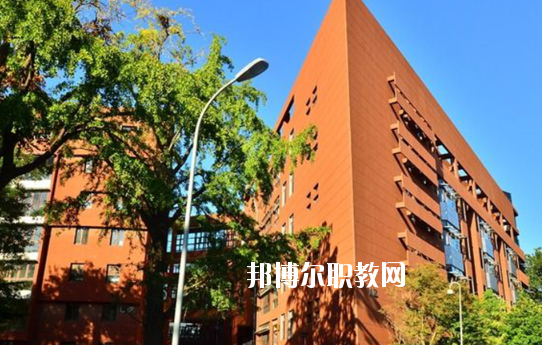 湛江湛港職業(yè)技術(shù)學(xué)校2020年報(bào)名條件、招生要求、招生對(duì)象