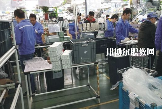 遂溪縣職業(yè)技術(shù)學(xué)校2020年報名條件、招生要求、招生對象