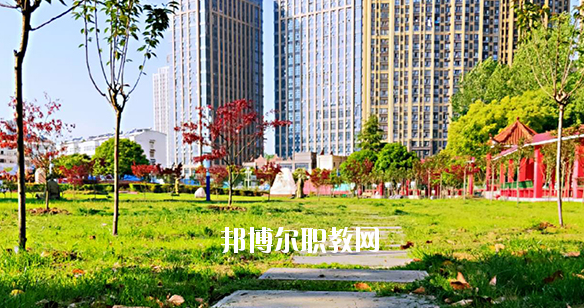 合肥飛躍學(xué)校2020年報(bào)名條件、招生要求、招生對(duì)象 