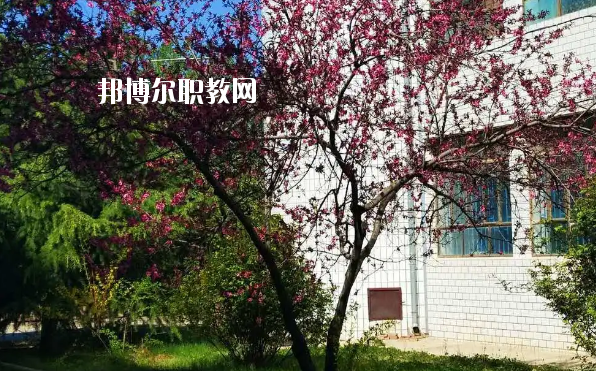 西峰北辰職業(yè)技術(shù)學(xué)校2020年招生辦聯(lián)系電話(huà)