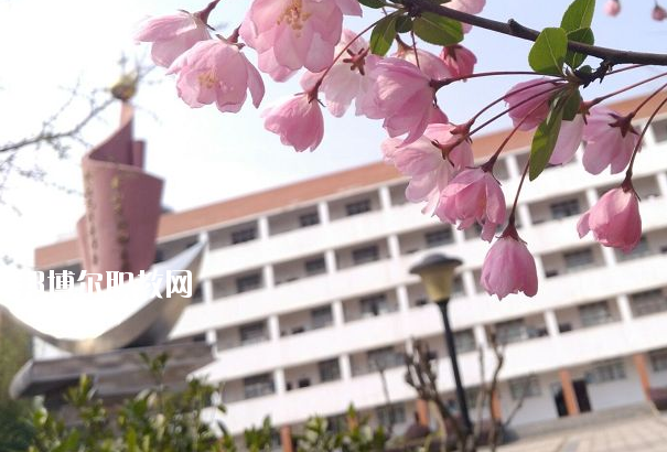 湖北現(xiàn)代農業(yè)技師學院2