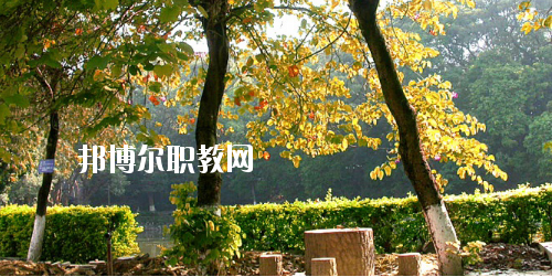 廣西民族中等專(zhuān)業(yè)學(xué)校怎么樣、好不好