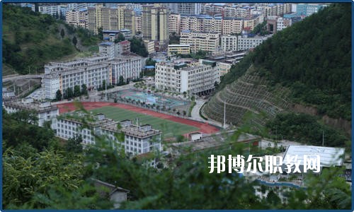 廣元朝天職業(yè)中學2020年報名條件、招生要求、招生對象