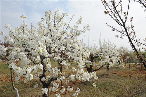 宿遷高等師范學(xué)校怎么樣、好不好