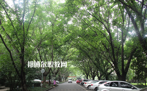 重慶2021年中專學(xué)?？梢钥即髮W(xué)嗎
