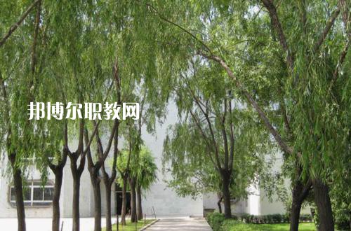 新疆喀什地區(qū)衛(wèi)生學(xué)校2021年報(bào)名條件、招生要求、招生對(duì)象
