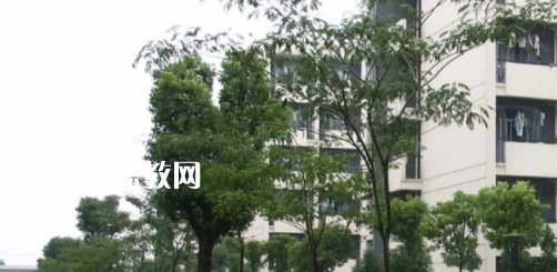 安徽工商行政管理學(xué)校怎么樣、好不好