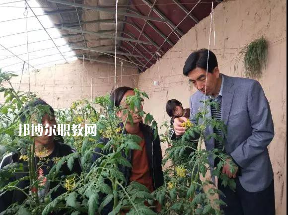 甘肅省臨夏州職業(yè)技術(shù)學(xué)校2022年學(xué)費(fèi)、收費(fèi)多少