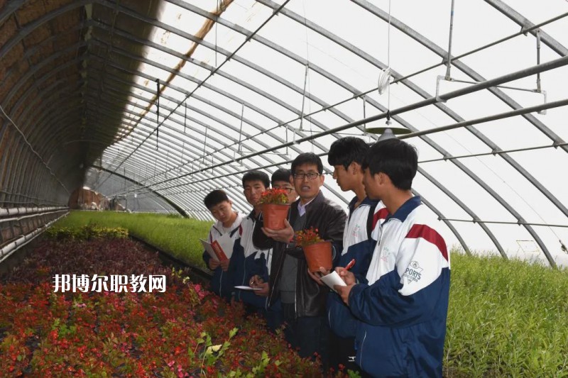 靖遠(yuǎn)職業(yè)教育中心2022年學(xué)費(fèi)、收費(fèi)多少