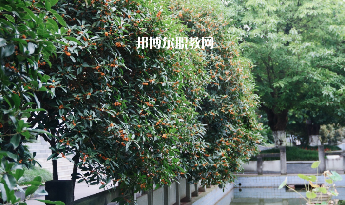 德陽通用電子科技學(xué)校怎么樣、好不好