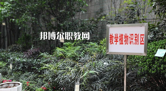 重慶風(fēng)景園林技工學(xué)校2022年學(xué)費(fèi)、收費(fèi)多少