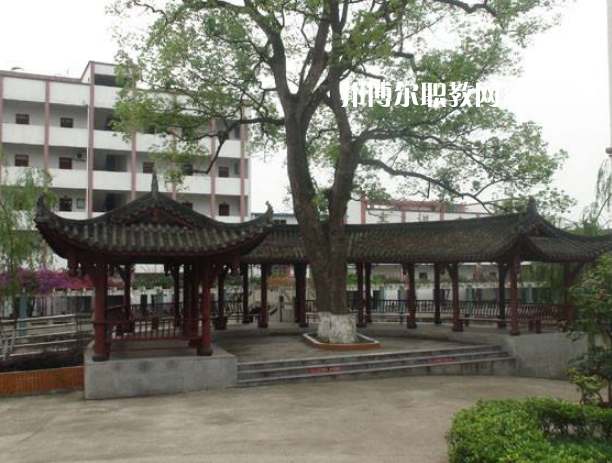 四川合江先市職業(yè)高級(jí)中學(xué)校怎么樣、好不好