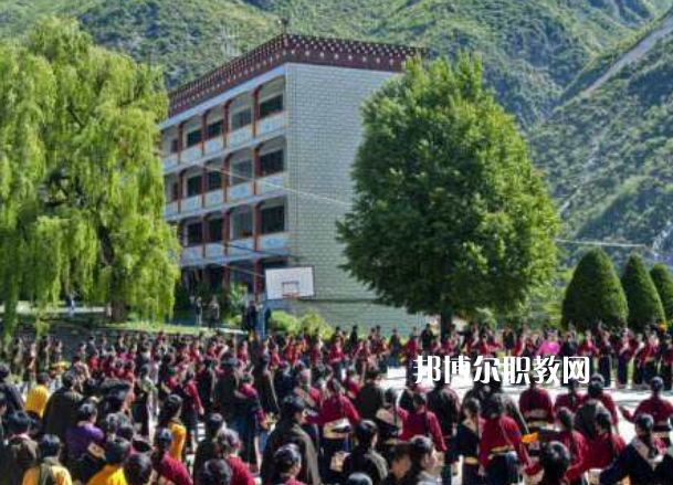 四川省藏文學(xué)校2022年報(bào)名條件、招生要求、招生對象