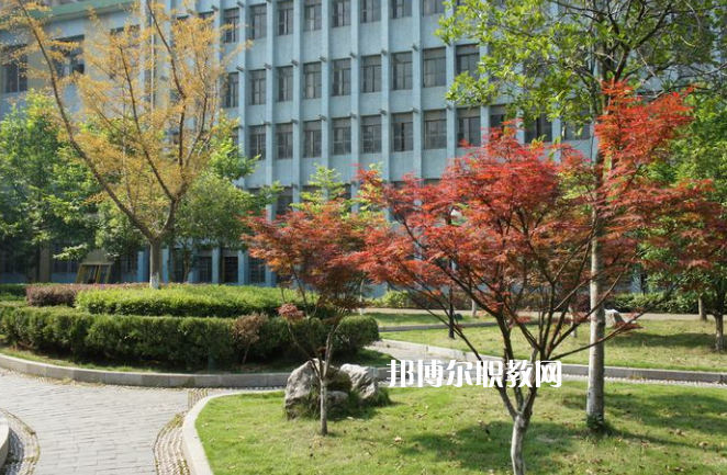 廉江市衛(wèi)生職業(yè)技術(shù)學(xué)校怎么樣、好不好